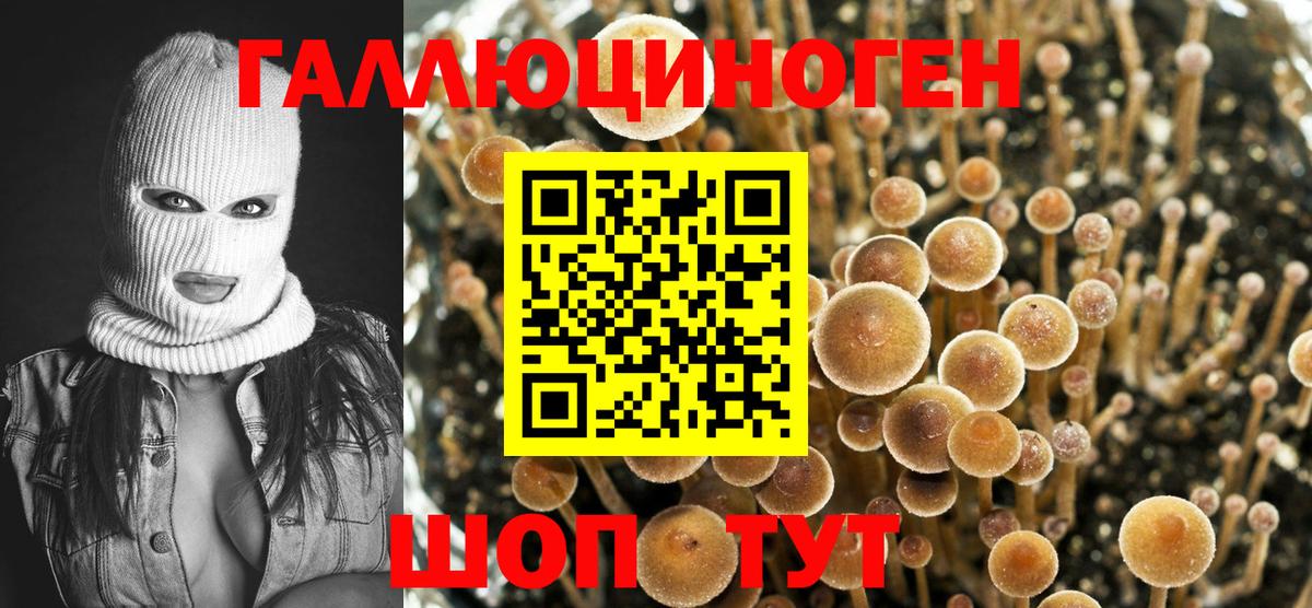 Галлюциногенные грибы Cubensis  Псилоцибиновые грибы Psilocybe  Абакан  Вход с VPN 