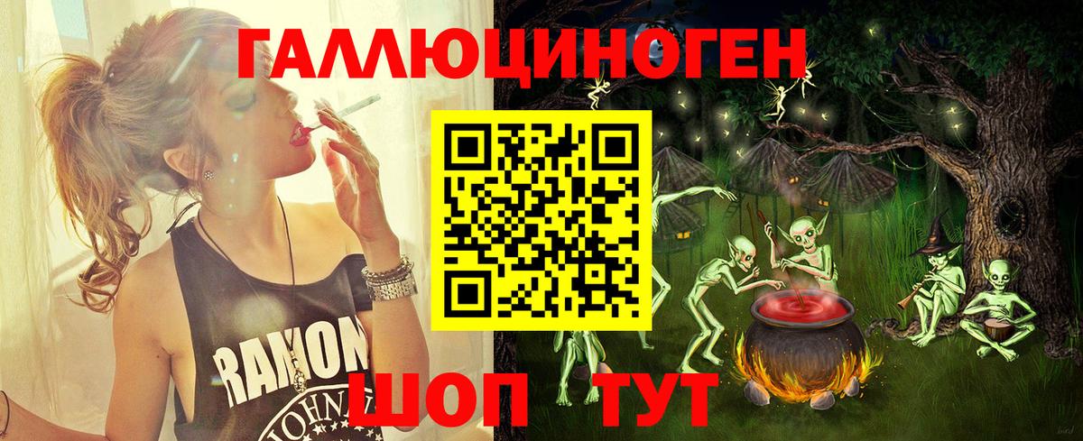 Псилоцибиновые грибы Psilocybine cubensis Абакан